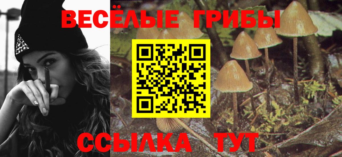 Псилоцибиновые грибы GOLDEN TEACHER Красный Сулин